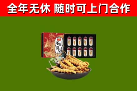 类乌齐县回收冬虫夏草价格