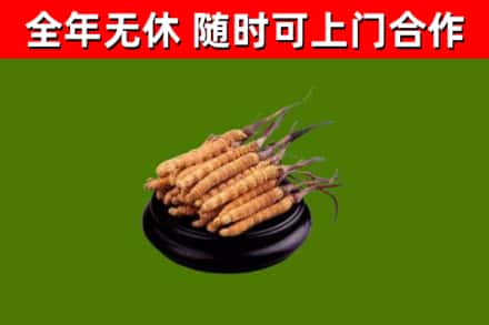 类乌齐县烟酒回收冬虫夏草.jpg